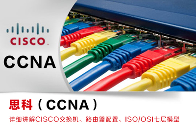 網絡工程 構建數字化時代的基石